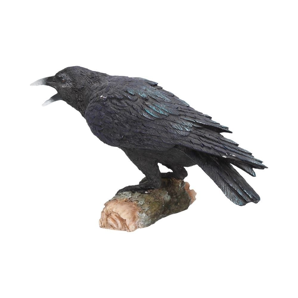 Nemesis Now - Raven's Call Beeld/figuur - Raaf - Zwart